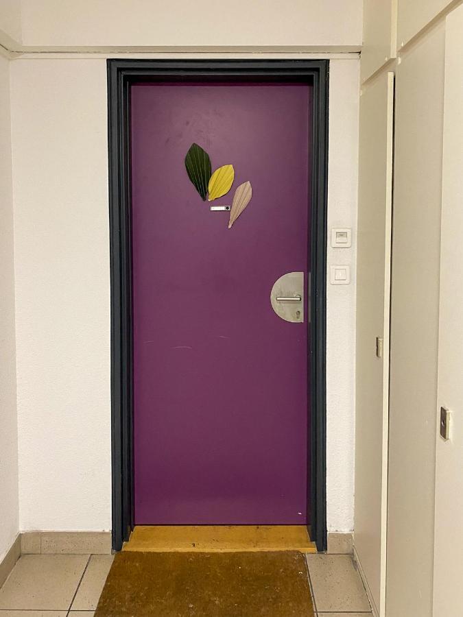 - La Jungle - Appartement Strasbourg