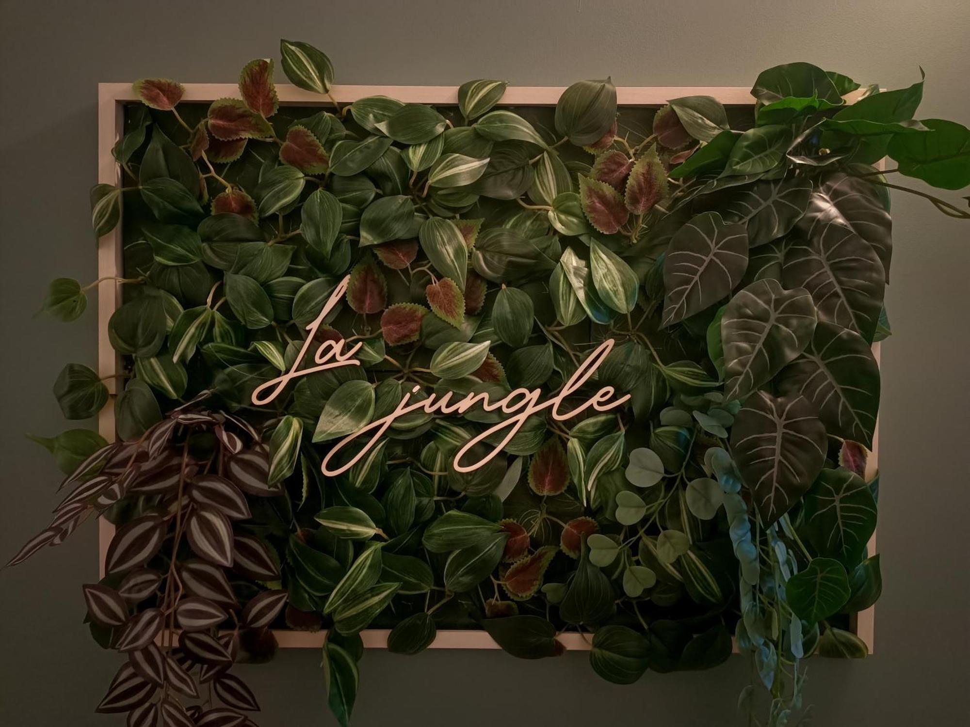 Apartamento - La Jungle -